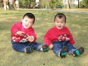 双胞胎男孩照片大全,温馨瞬间记录成长足迹